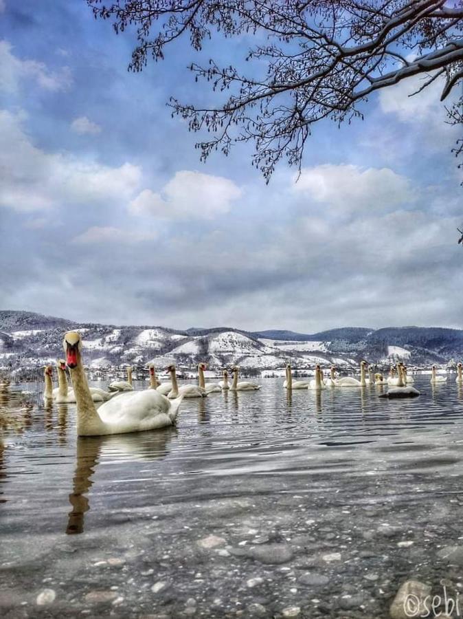 Vila Roxana Pangarati Bagian luar foto