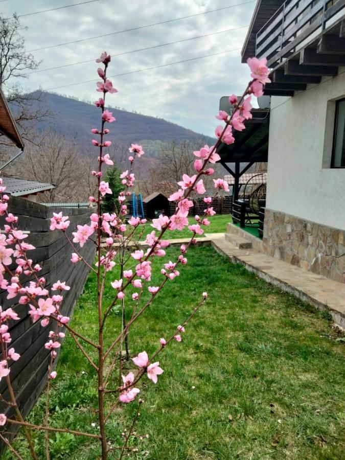 Vila Roxana Pangarati Bagian luar foto